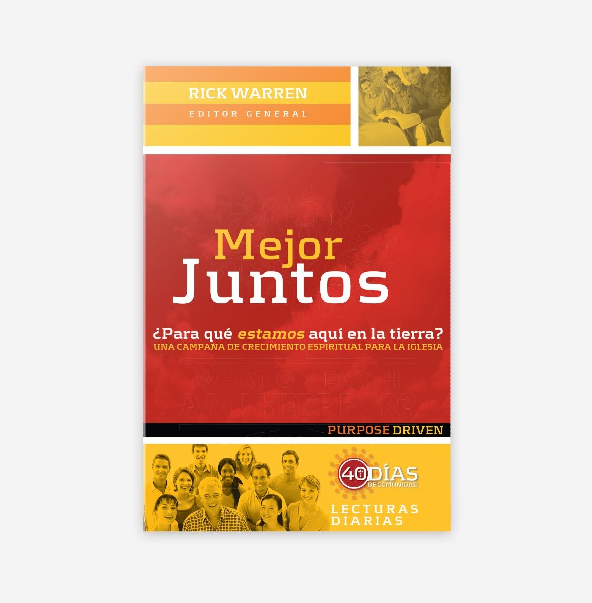 ジョンロバートパワーズ　教科書 NRSVCE, Illustrated Catholic Bible, Comfort Print: Holy Bible